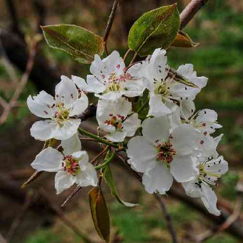 سجاد رضوانی نوزده ساله شده من منو بردن سربازی چشمام پر از اشک